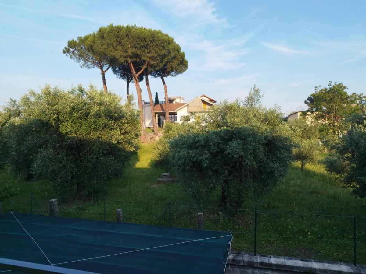 Luciano Relax Apartment Roma Ngoại thất bức ảnh